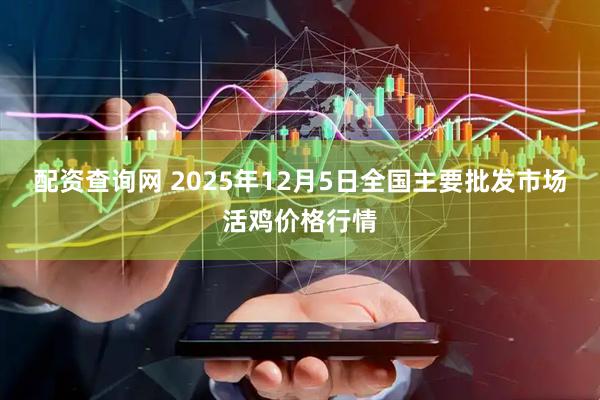配资查询网 2025年12月5日全国主要批发市场活鸡价格行情